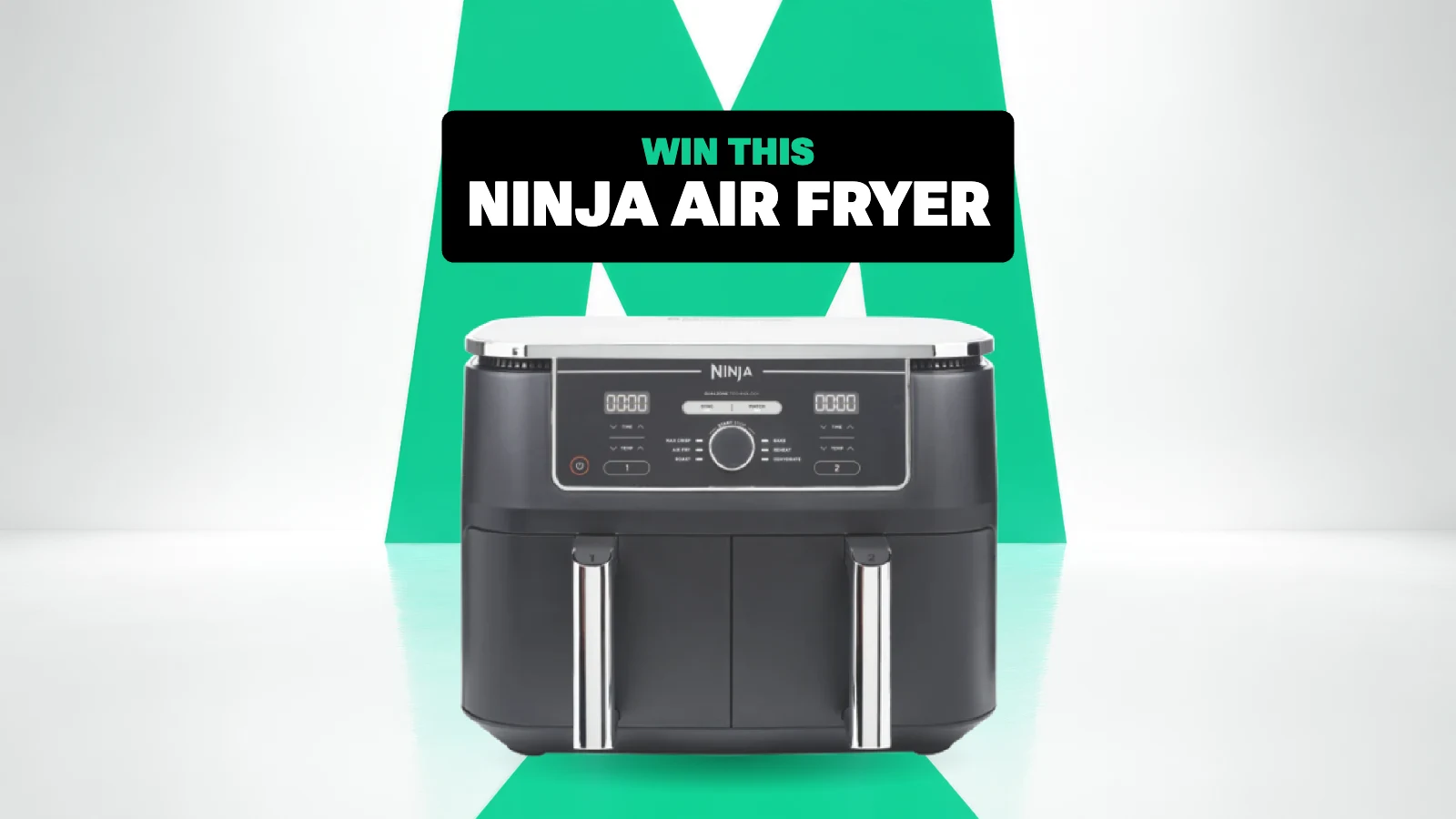Ninja Air Fryer